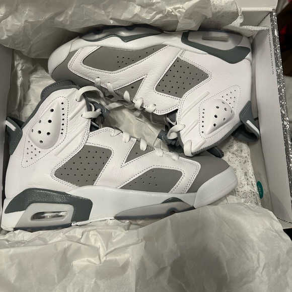 Air Jordan 6 Retro ‘Cool Grey’ - Picture 2 of 6